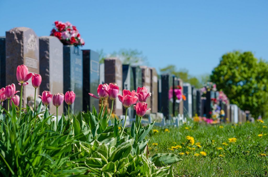 fleurs dans un cimetiere